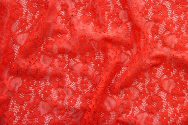 ����� HD-009 (CORAL) ����