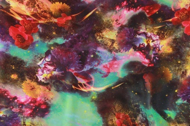 ����� 2430 (H335-2#) ����